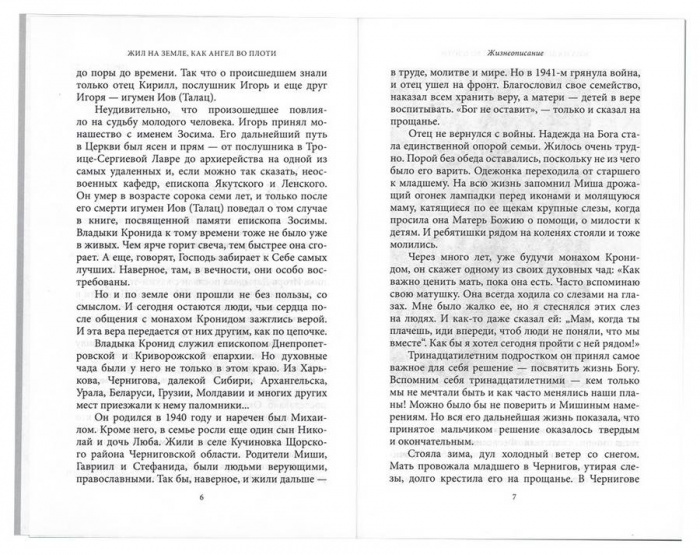 Жил на земле, как ангел во плоти. Епископ Кронид (Мищенко) (уценка)