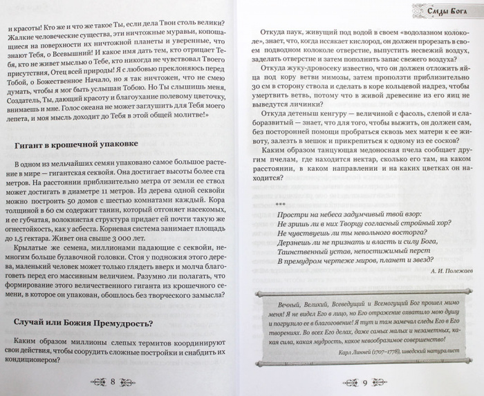 Верую, Господи, помоги моему неверию (Св.- Елис.) (уценка)