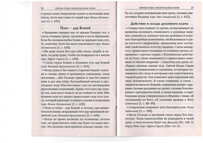 Почему блаженны плачущие? О второй заповеди блаженства (Скрижаль) (уценка)