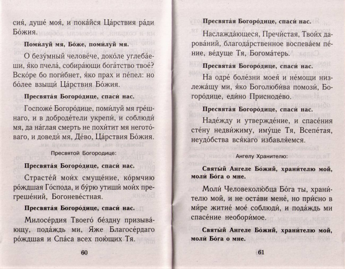 М-в (Синт.) с правилом ко причастию кр.шр., коричневый на скобе (уценка)