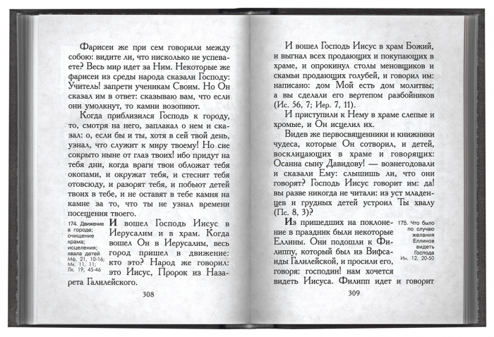 Евангельская история. Путеводитель по Святому Евангелию (ПВ) (уценка)
