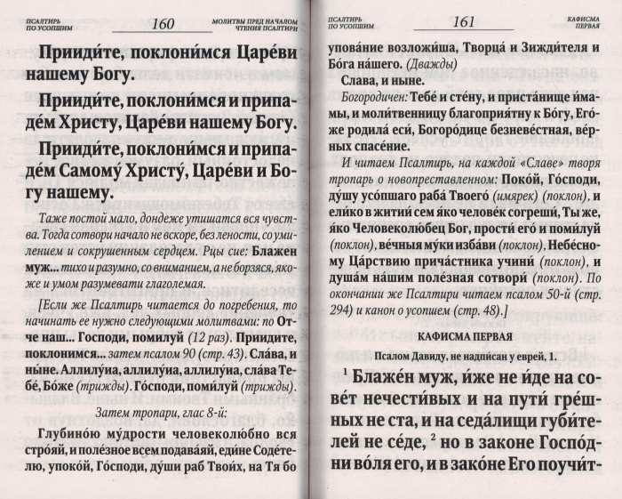 Пс (Оранта-Терирем) и каноны по усопшим для слабовидящих, тв.п. (НОВАЯ ОБЛОЖКА) (уценка)