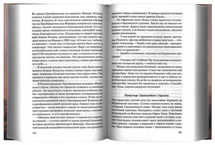 Цветок Сиона. Записки паломника ко Гробу Господню. Протоиерей Сергий Гусельников (уценка)